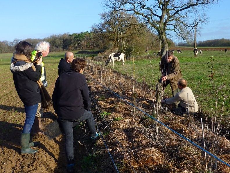 Chantier participatif plantation de haie La Cosse Le Blanc 2026-03-21