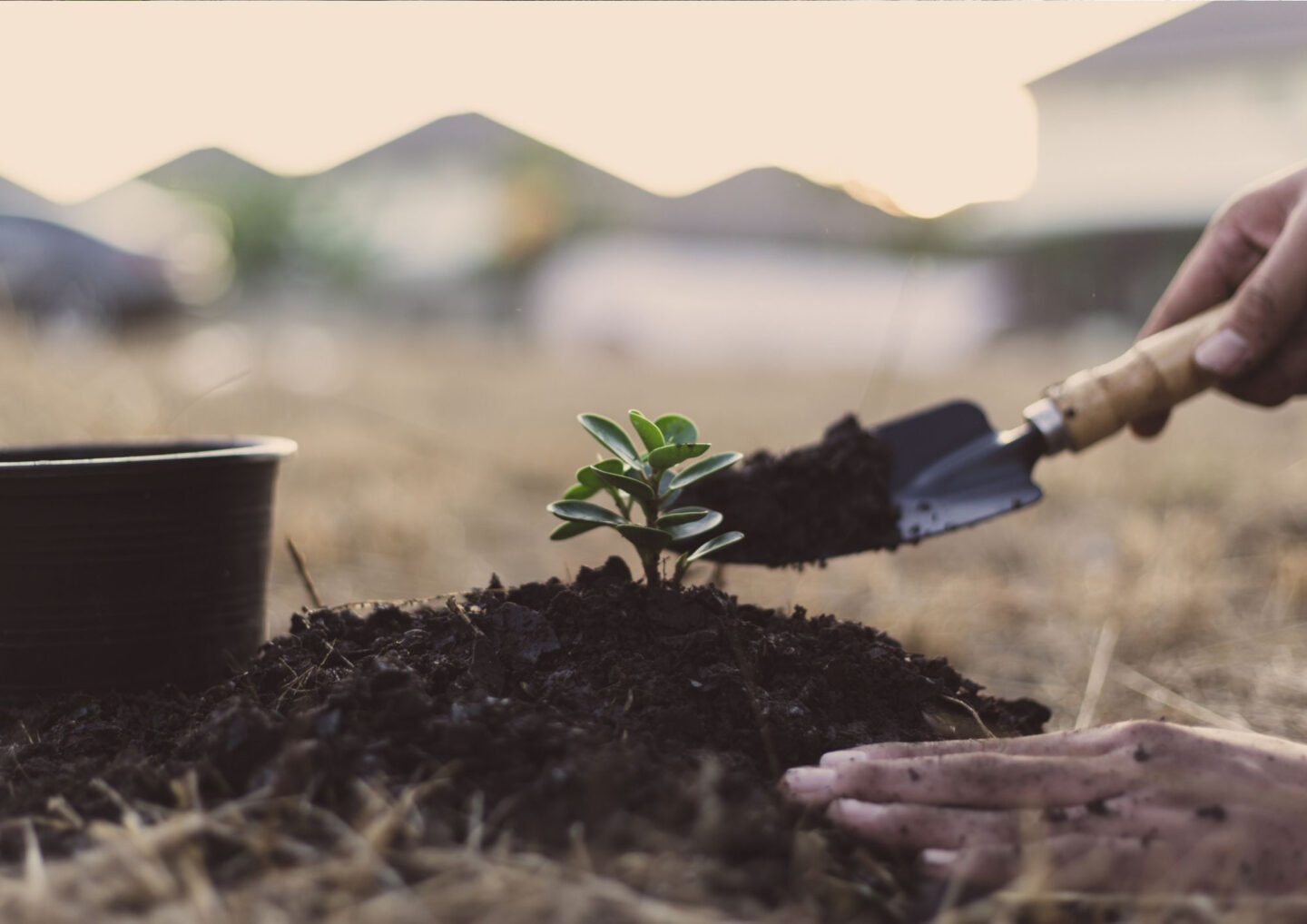 Chantier participatif plantation des modelés dunaires du parvis de la Maison de l’Environnement 297 avenue de l'Adour Anglet 2026-04-29