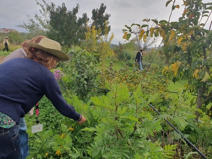 Chasse au trésor dans le jardin-forêt Le Croissant Fertile Mornant