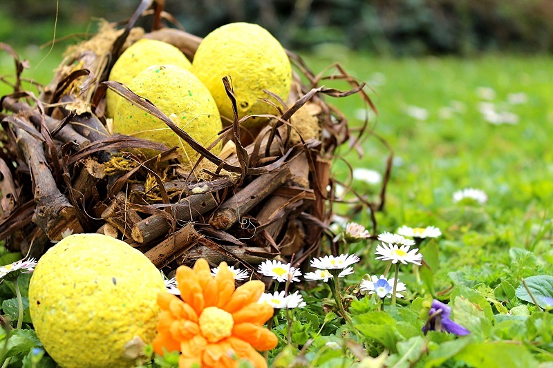 CHASSE AUX ŒUFS À BOUCONNE L'AVENTURE EN FAMILLE ! 123 Chemin du Râtelier Montaigut-sur-Save 2026-04-06