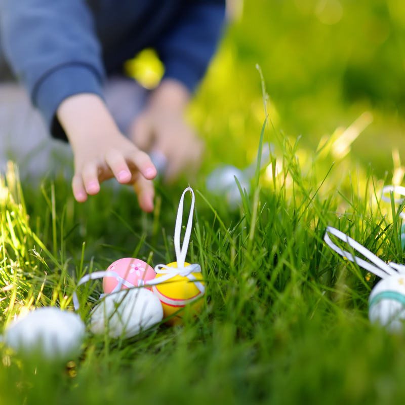 Chasse aux oeufs dans les vignes Château de Rayne Vigneau Bommes 2026-04-06
