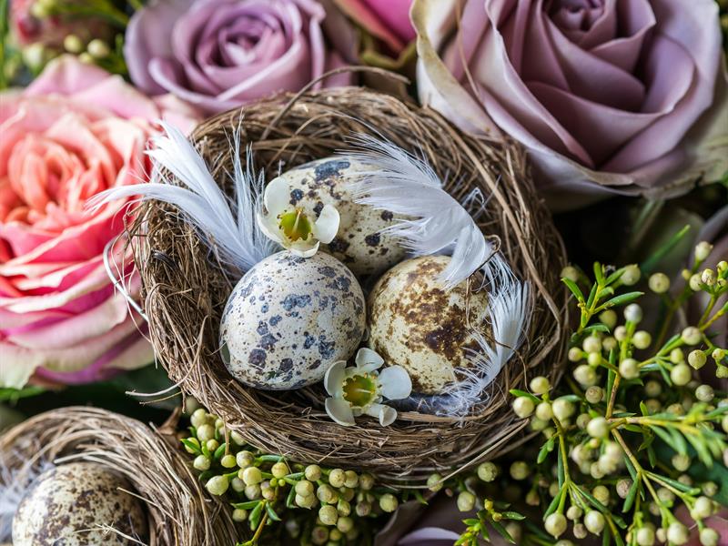 Chasse aux œufs de Pâques Route du Commandant Martial Reynier Hunspach 2026-04-06