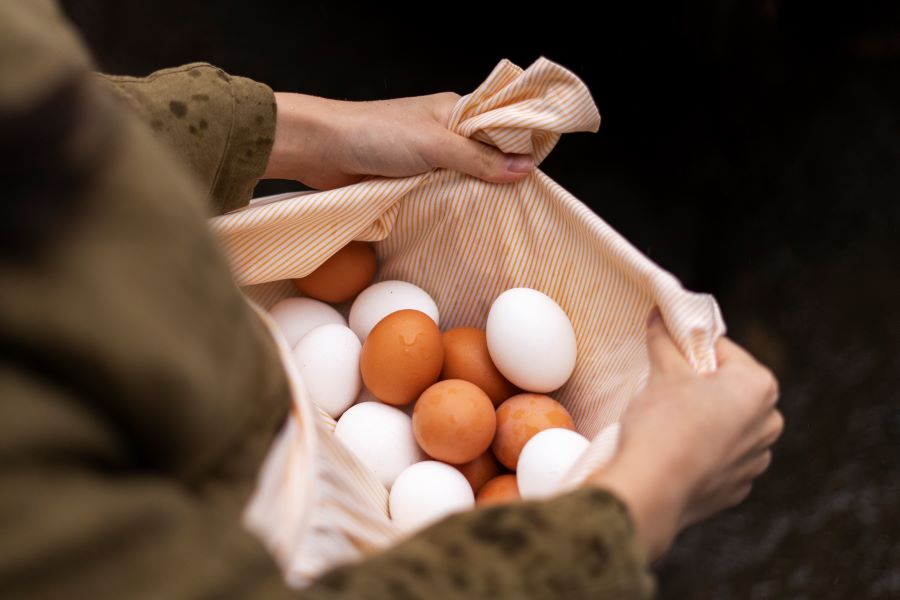 Chasse aux oeufs pour les grands 61 Rue Eugène Le Roy La Coquille 2026-04-12