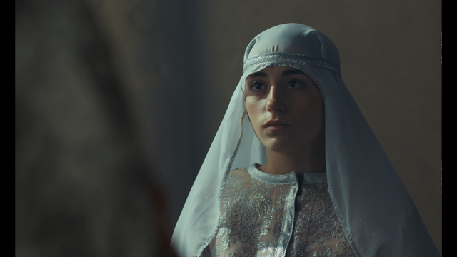 CINÉ-RENCONTRE LA COMTESSE AUX 5 MARIS 16 Rue de l'Indépendance Saint-Gaudens 2026-04-09