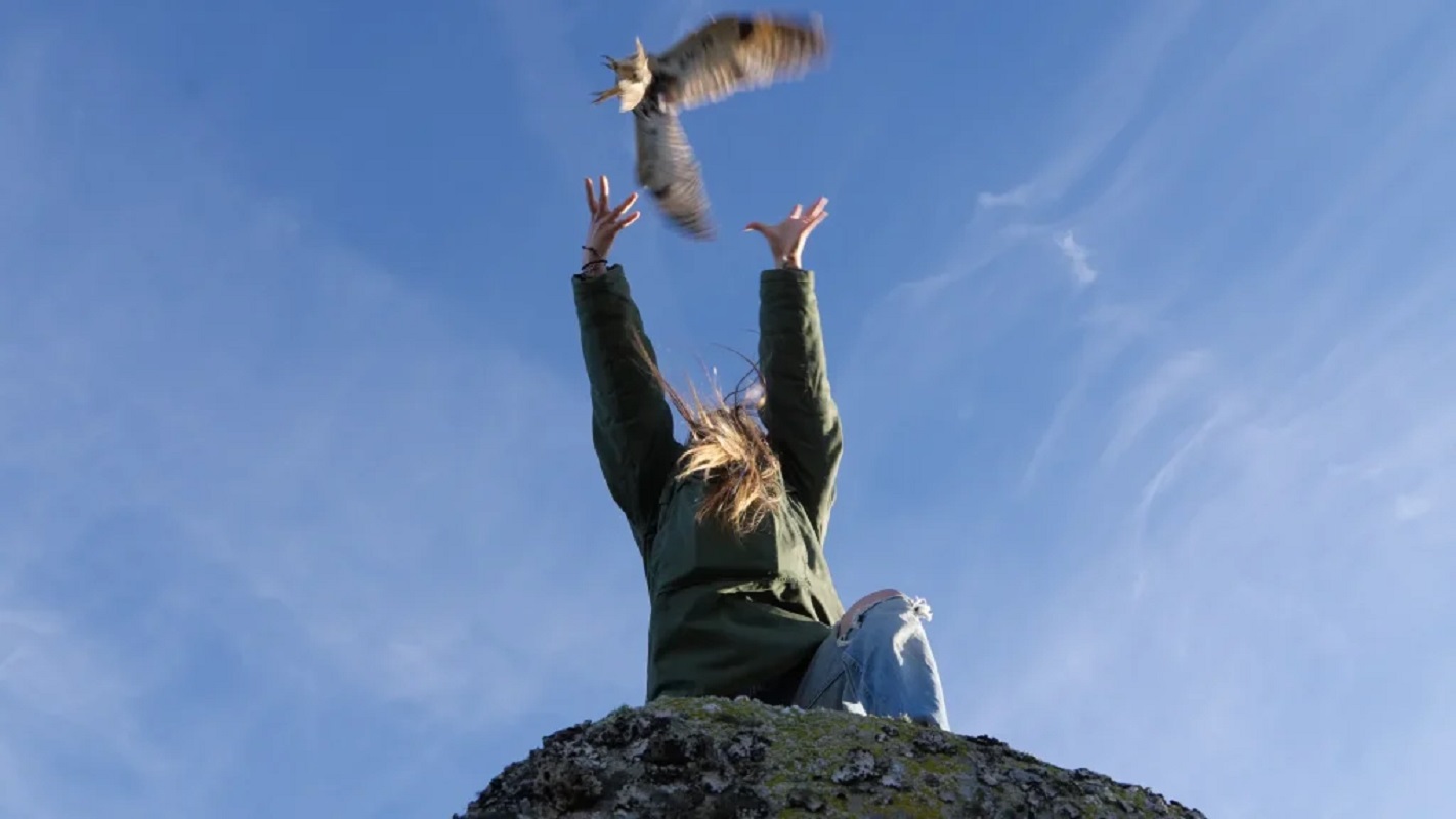 Cinéma Arévi Animus Femina 16 Avenue Docteur Lemoyne Saint-Yrieix-la-Perche 2026-03-24