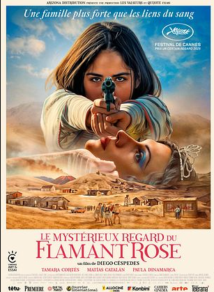 Cinéma Arudy Le mystérieux regard du flamand rose VOSTFR 11 Rue Saint-Michel Arudy 2026-04-06