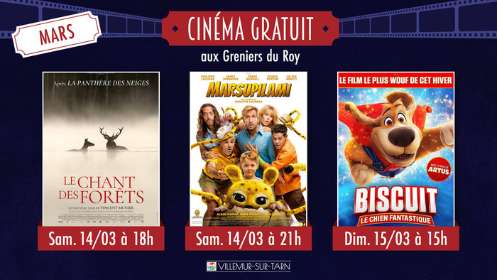 Cinéma gratuit à Villemur Les Greniers du Roy Villemur-sur-Tarn