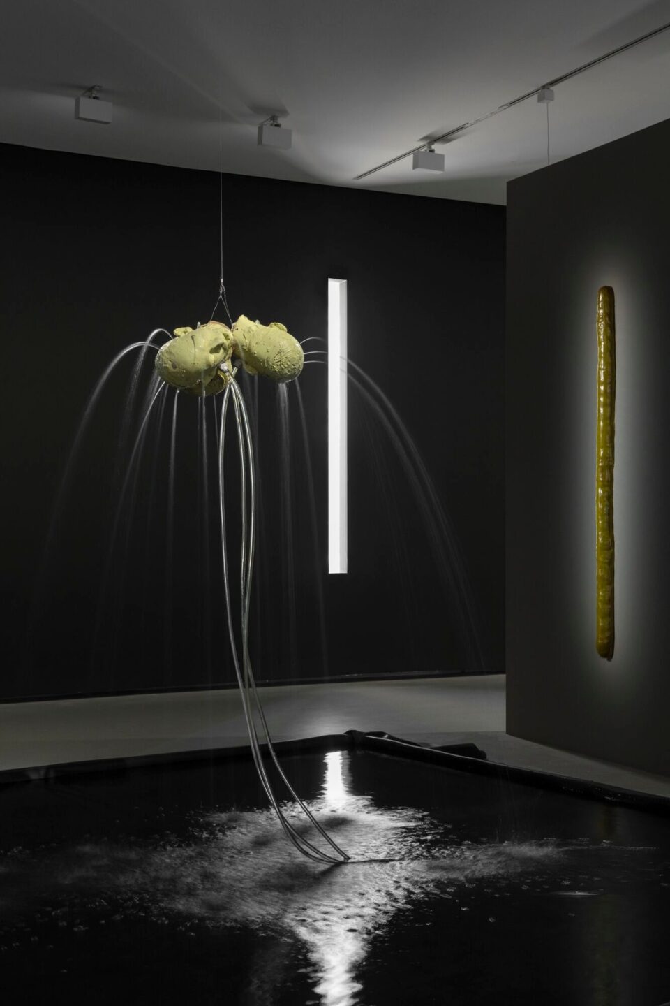 Œuvre et scénographie de l’exposition Clair-obscur