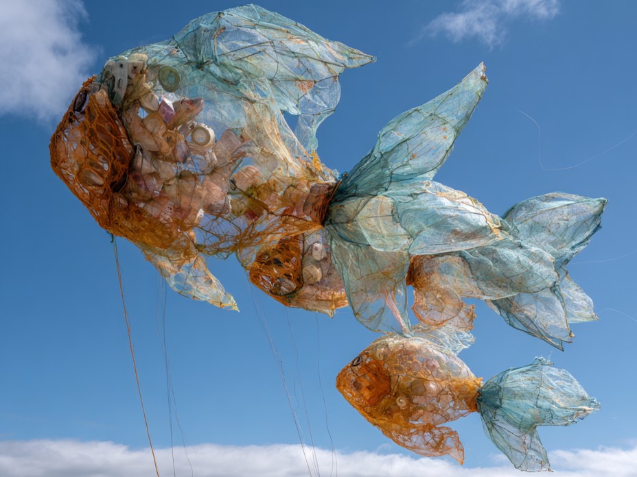 Collecte de déchets Plage de Quinéville Avenue de la Plage Quinéville 2026-03-25