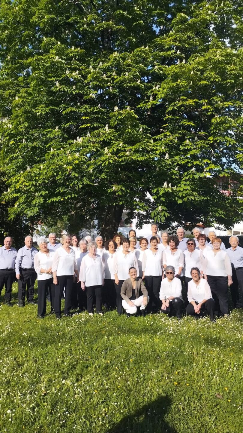 Concert de chants basques avec le chœur mixte Arraga Concert de chants basques avec le chœur mixte Arraga Place de l'Église Cambo-les-Bains 2026-10-09