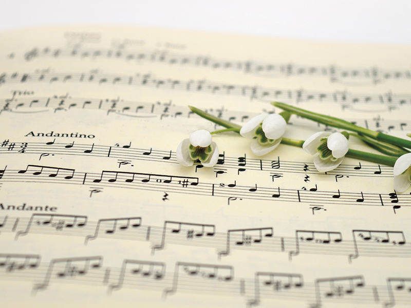 Concert Ensemble DUO NIDA