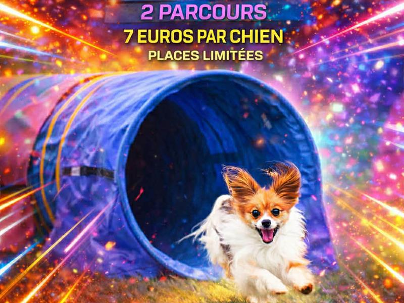 Concours canin Tunnel run Club Canin de Francaltroff Francaltroff 2026-06-06