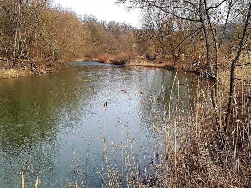 Conférence La Sarre insolite 10 rue du Parc Sarreguemines 2026-03-20