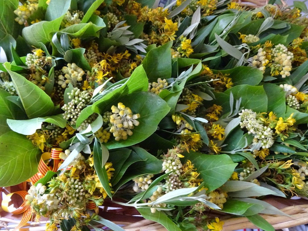 CONFÉRENCE LES PLANTES SAUVAGES DANS LA TRADITION CATALANE Rue de la Caserne Sorède 2026-04-23