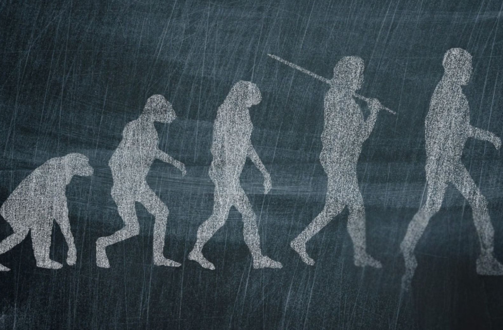 Conférence | Néandertal état des connaissances L'Eden Eymet 2026-05-15