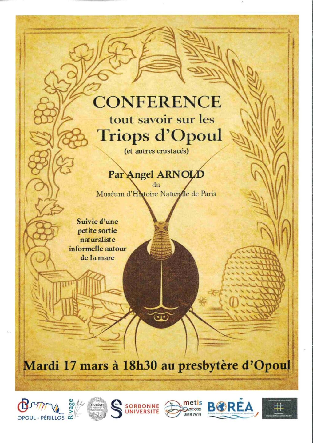 CONFÉRENCE TRIOPS D'OPOUL ET AUTRES CRUSTACÉS Place de l'Église Opoul-Périllos 2026-03-17