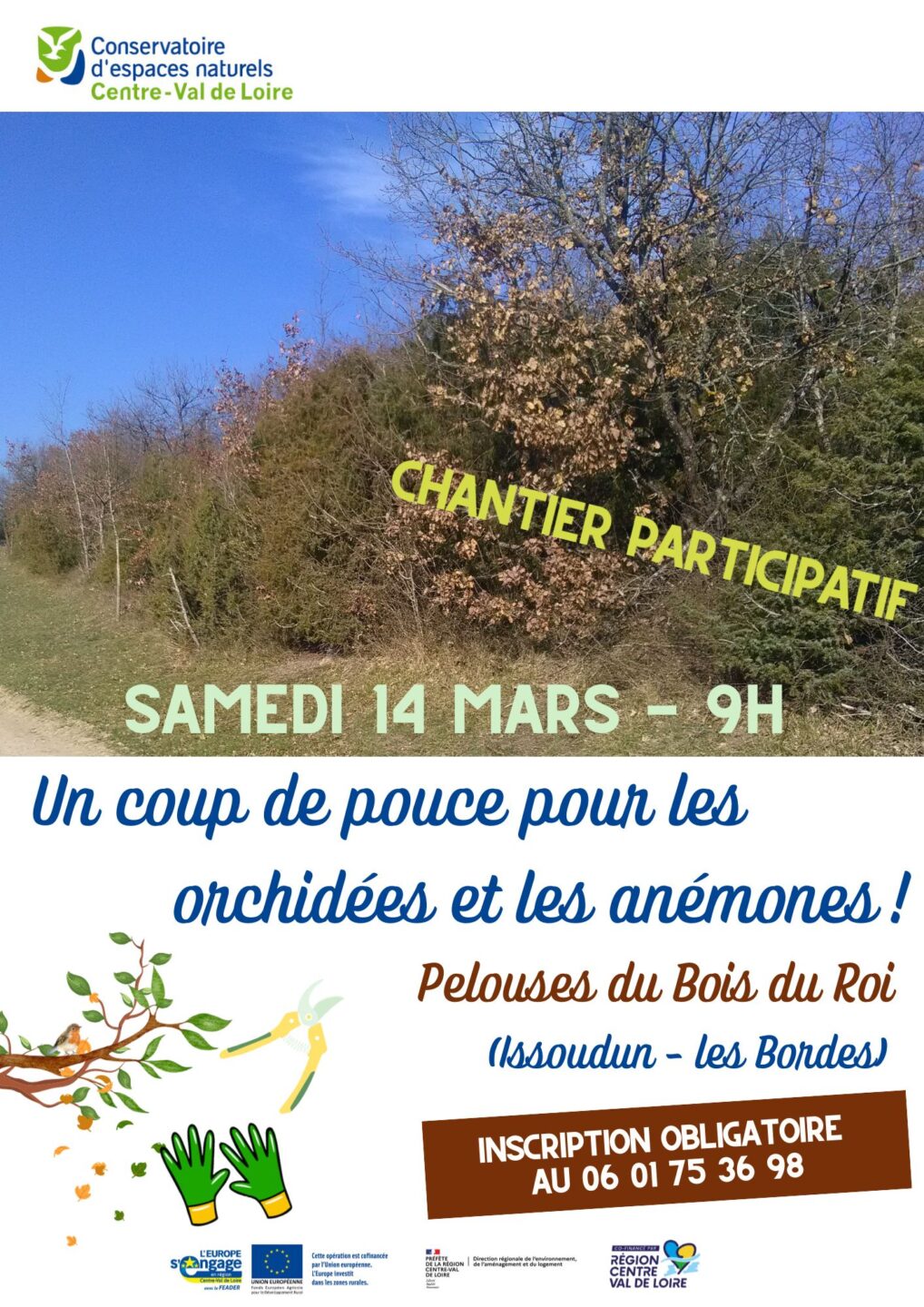 Coup de pouce pour les orchidées et les anémones des Pelouses du Bois du Roi