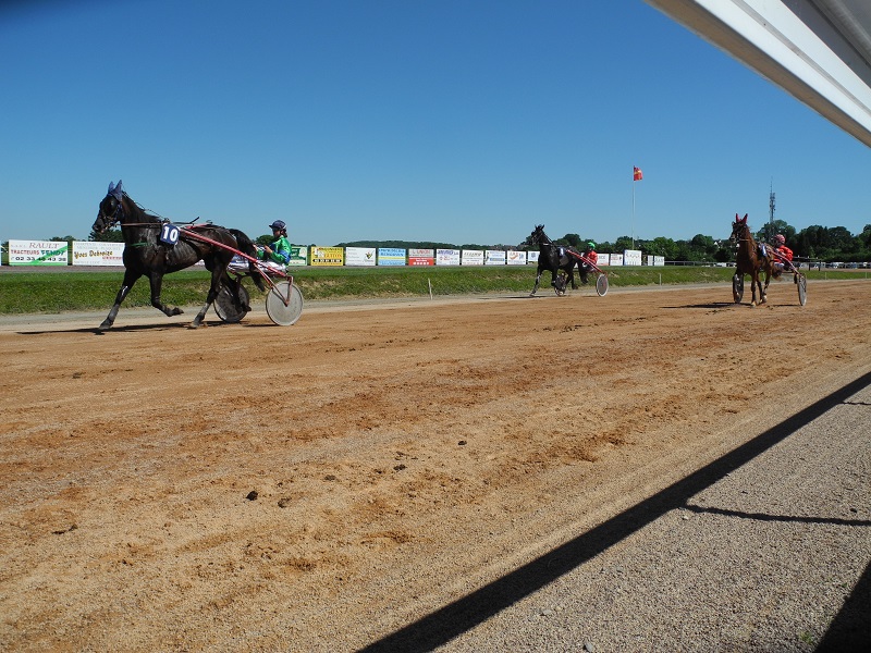 Courses hippiques Hippodrome Villedieu-les-Poêles-Rouffigny 2026-09-13 Courses hippiques