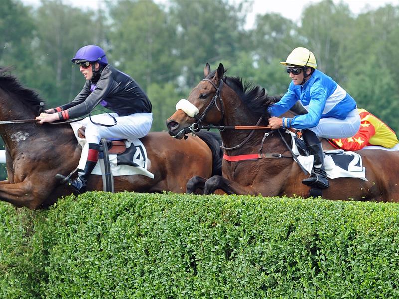 Courses hippiques  Wissembourg 2026-04-12