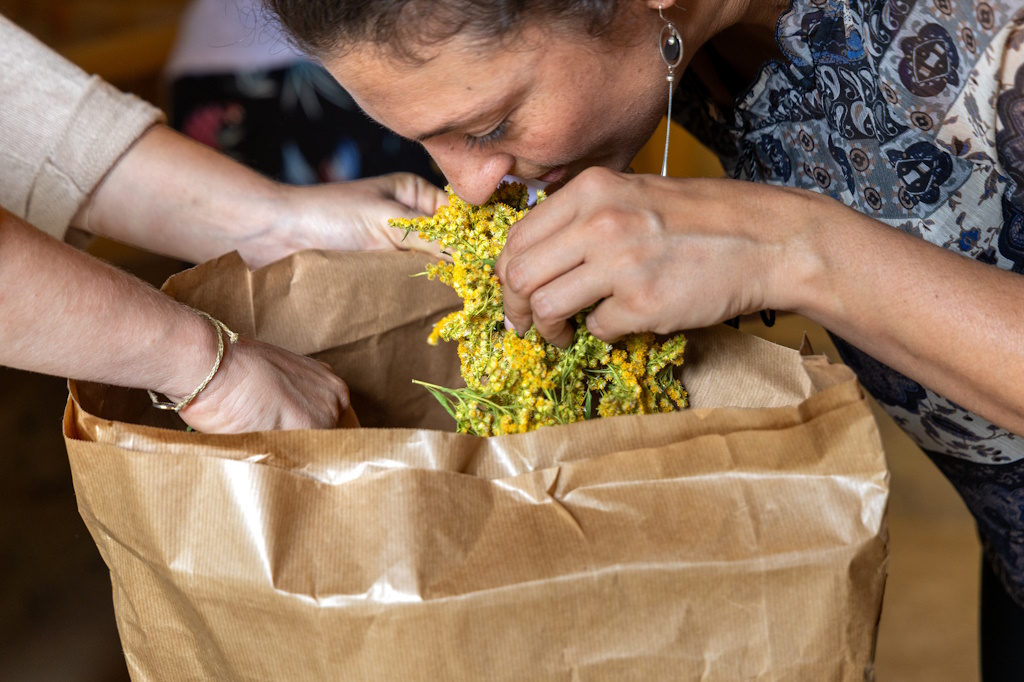 Créez votre infusion en juillet à St-Laurent-les-Eglises Créez votre infusion en juillet à St-Laurent-les-Eglises 81 Impasse des Jacinthes Saint-Laurent-les-Églises 2026-07-08