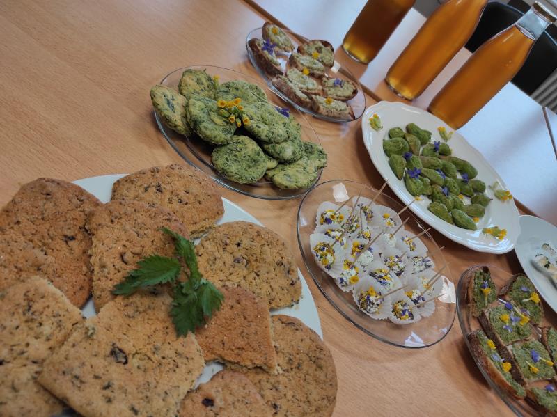 Cueillette et dégustation de plantes sauvages formule apéritif dînatoire Cueillette et dégustation de plantes sauvages formule apéritif dînatoire 6 rue du Pont Frebécourt 2026-07-09