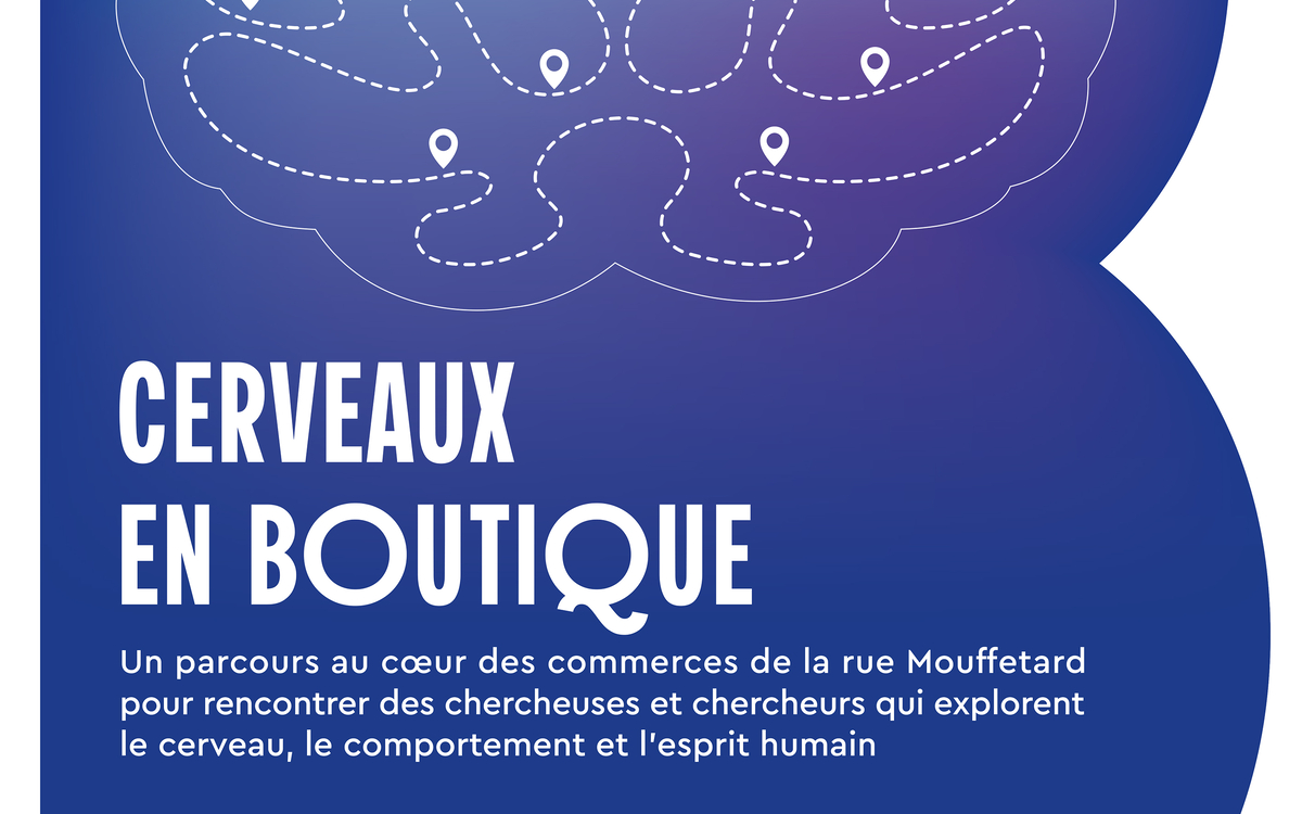 Cultiver son cerveau Bibliothèque Mohammed Arkoun  Paris