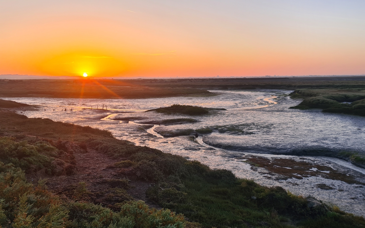 Dans la jungle des aires protégées : Comment s’y retrouver ? Musée de la Chasse et de la Nature  Paris