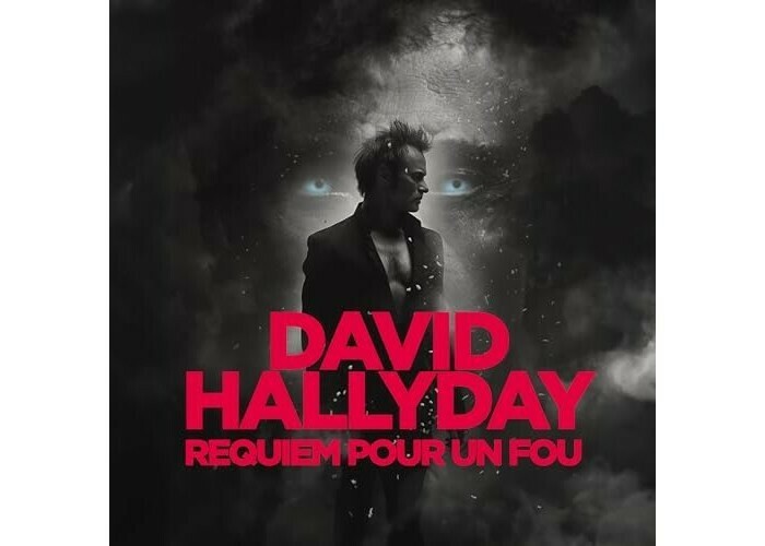 David Hallyday : Requiem pour un fou Zénith de Nantes Métropole Saint-Herblain