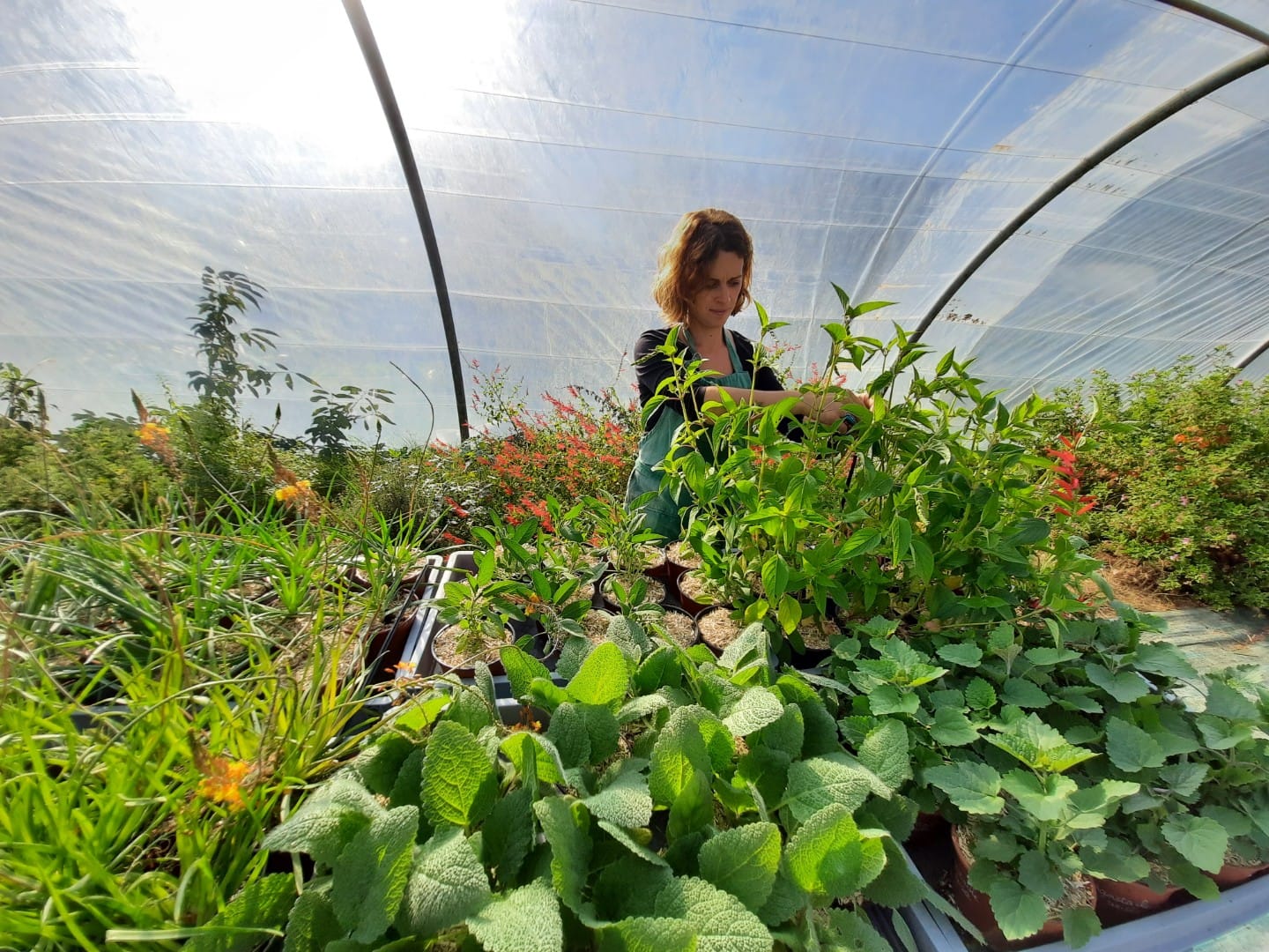 De Ferme en Ferme Damiselà Chemin de l'église Auga 2026-04-26