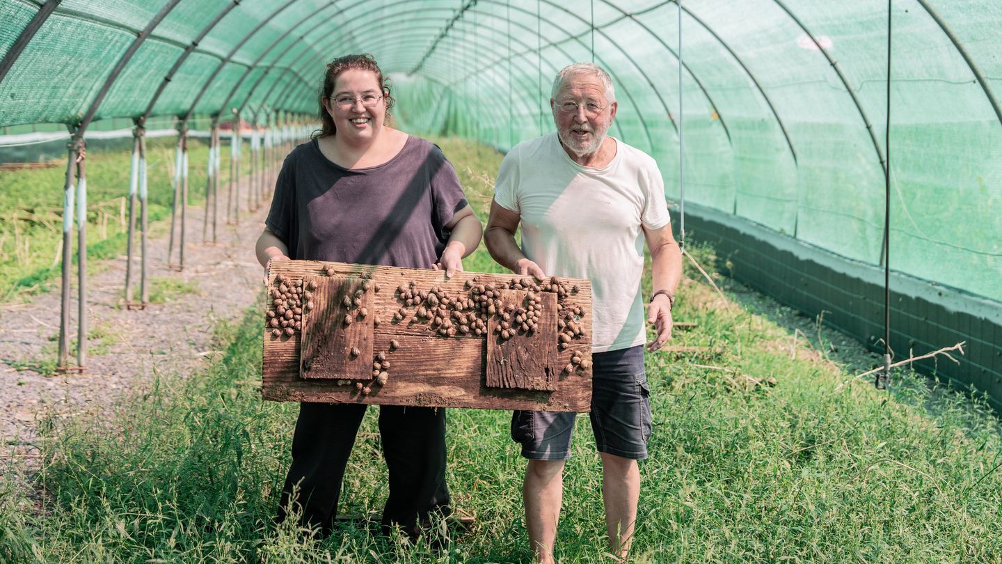 De ferme en ferme Ferme aux escargots Routis 1 chemin Soubirou Lannecaube 2026-04-25