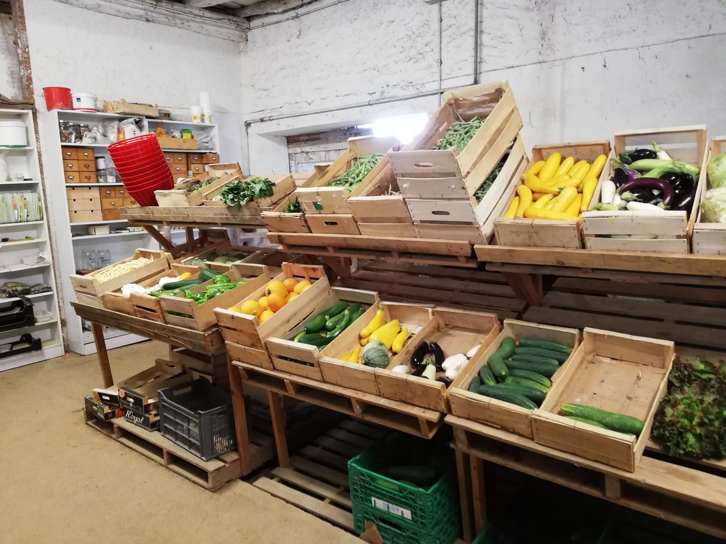 De ferme en ferme Ferme des Luys 1508 chemin de Navailles Serres-Castet 2026-04-26