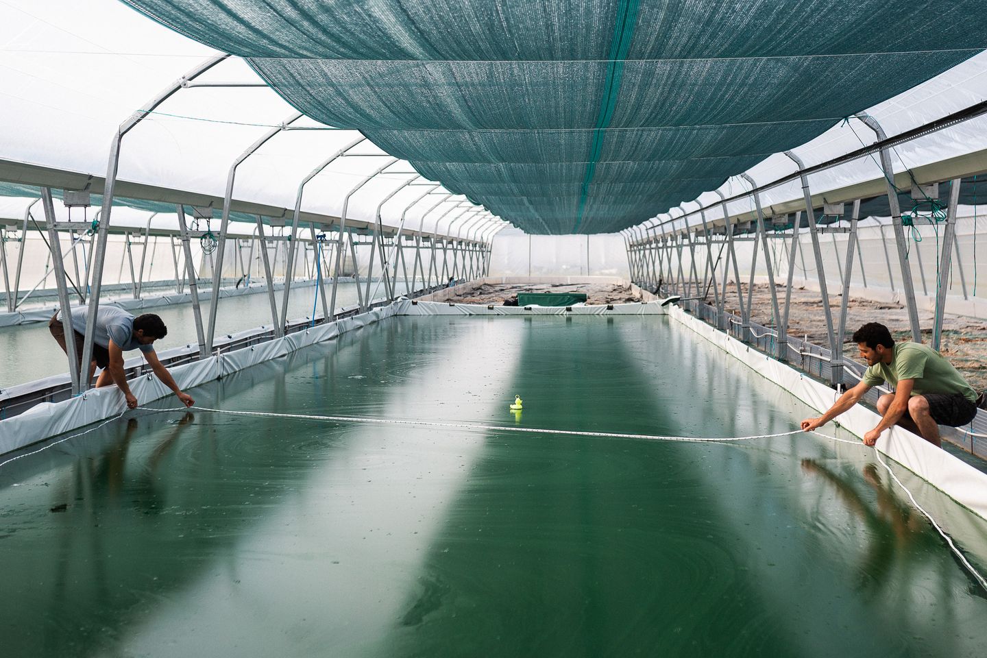 De ferme en ferme Spir'up 1153 chemin de Roumieu Buros 2026-04-25