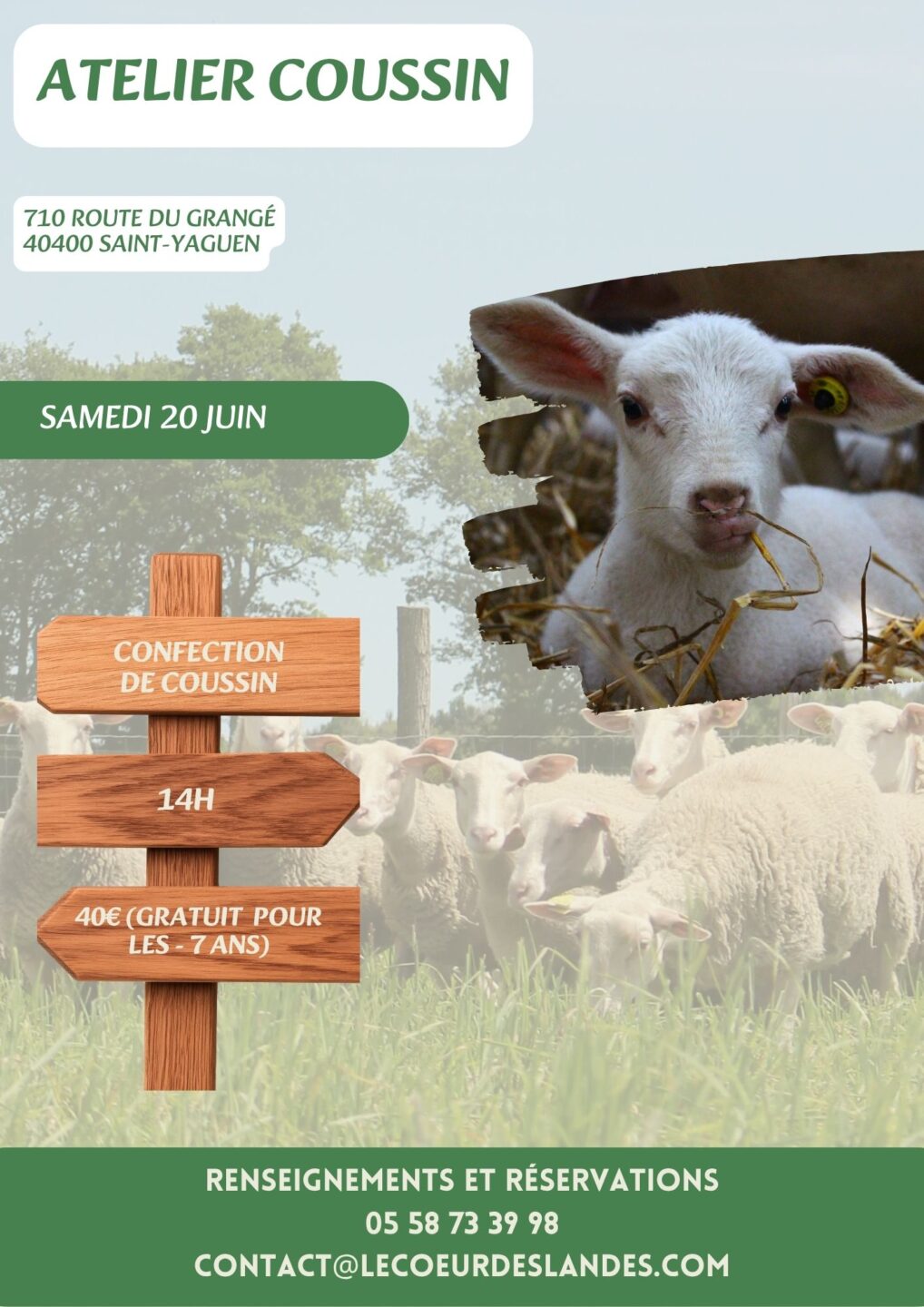 Découverte de la bergerie de Sarah Atelier cousin 710 route du grangé Saint-Yaguen 2026-06-20