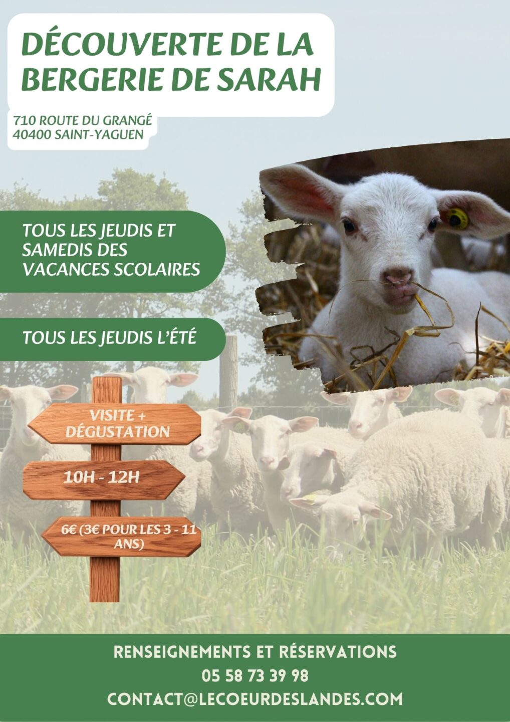 Découverte de la bergerie de Sarah Visite & Dégustation 710 route du grangé Saint-Yaguen 2026-05-23