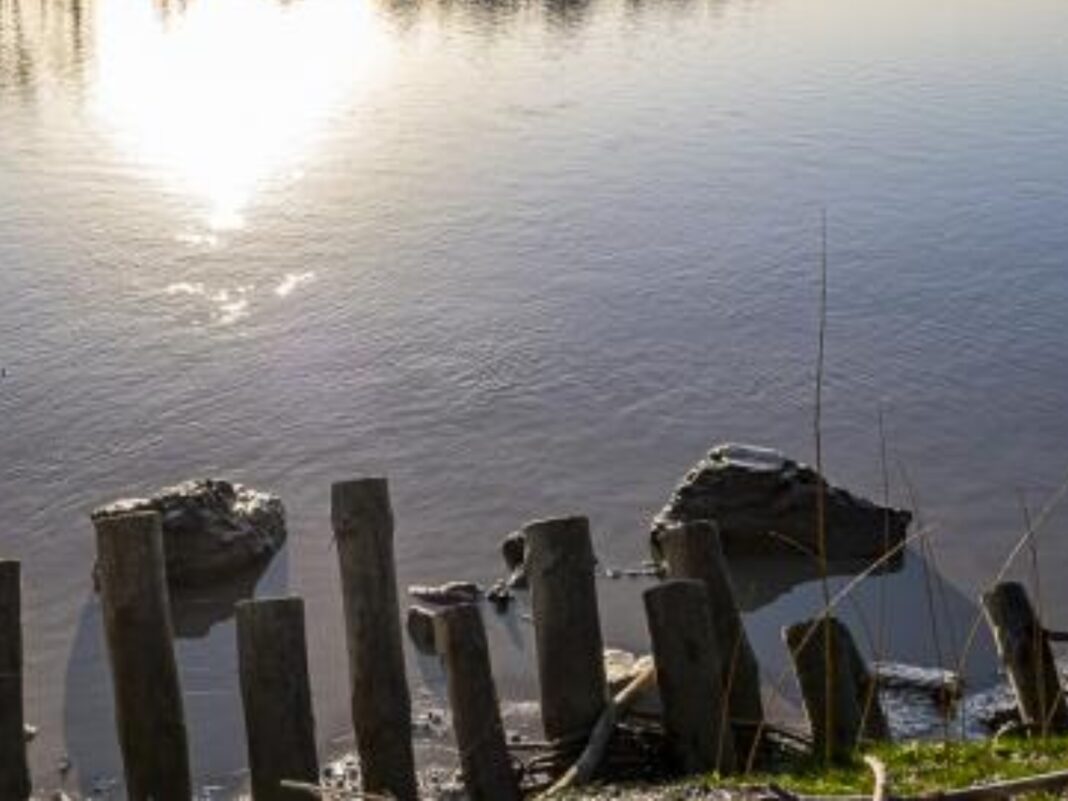 Découverte de la biodiversité des bords de Garonne Chantiers Tramasset Le Tourne