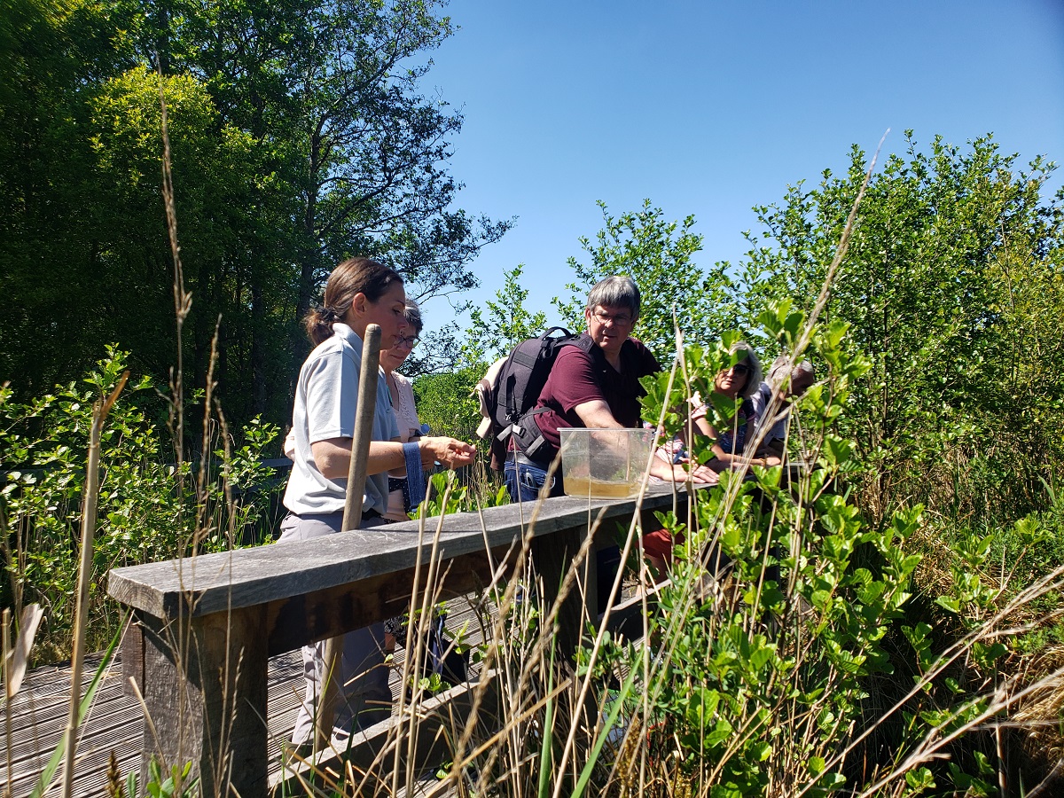 Découverte de la réserve naturelle de Mathon  Lessay 2026-07-23