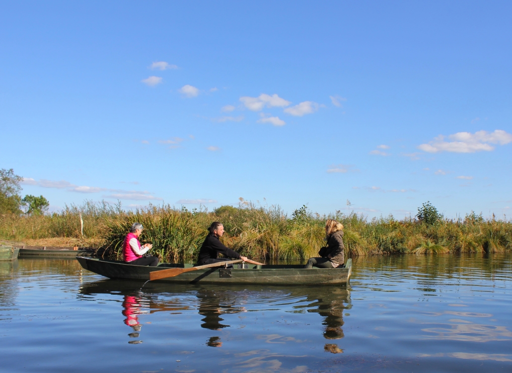 Découverte de l'étang blanc en barque dans l'univers des pêcheurs et chasseurs 4 route Louis de Bourmont Seignosse 2026-04-16