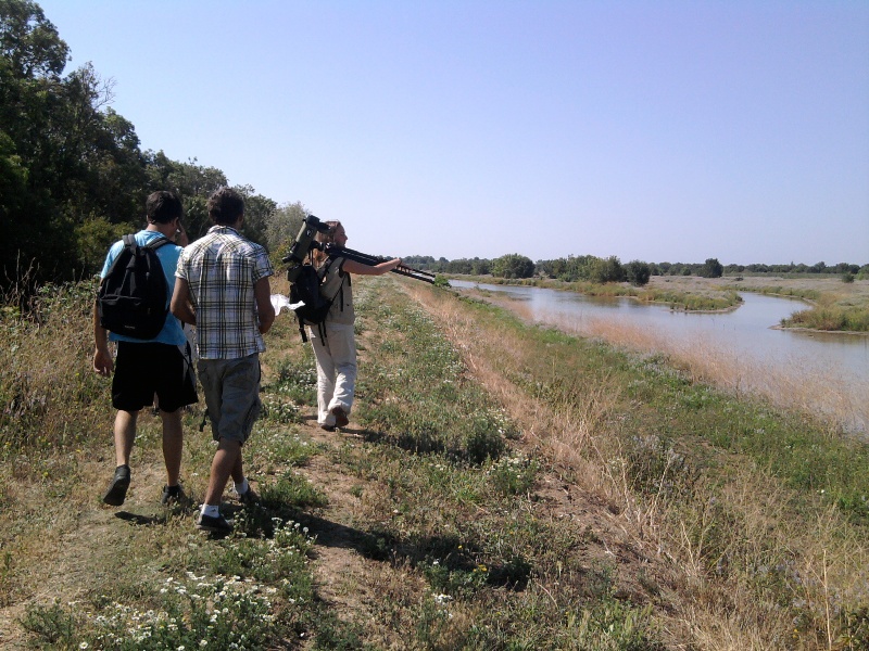 Découverte de l'Ile Nouvelle Ile Nouvelle Blaye 2026-07-28