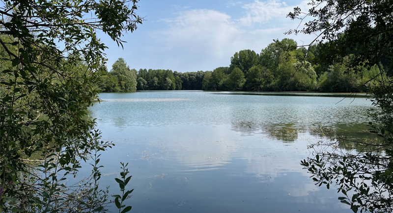 Découverte des plans d’eau avec l’association Les Corbeaux Gâtinais Nature Découverte des plans d’eau avec l’association Les Corbeaux Gâtinais Nature Rue de l'Union Amilly 2026-04-25