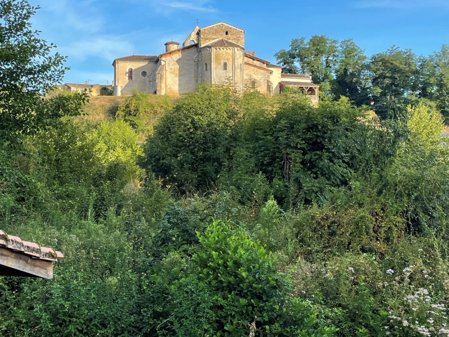 Découverte des zones humides Le bourg Savignac 2026-05-09