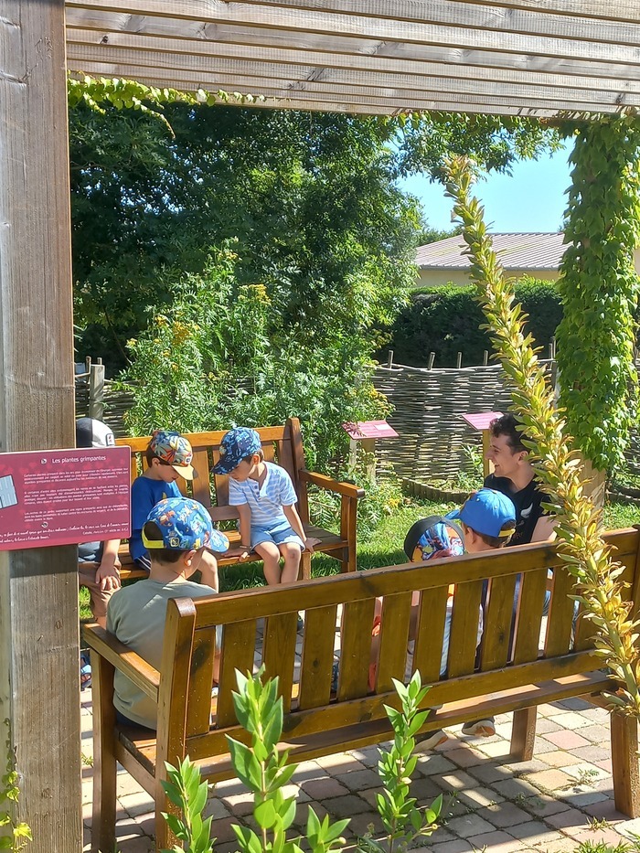 Découverte du jardin antique avec un livret-jeux pour les enfants Le Musée gallo-romain Claracq