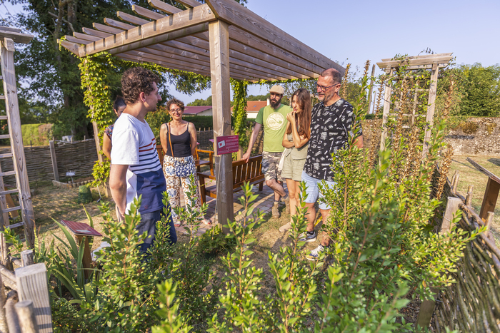 Découverte du jardin Antique Le Musée gallo-romain Claracq