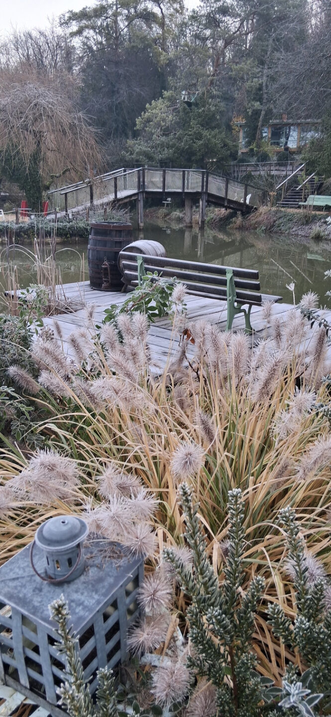 Découverte du Jardin des Grimpantes Jardin des Grimpantes Burey-en-Vaux