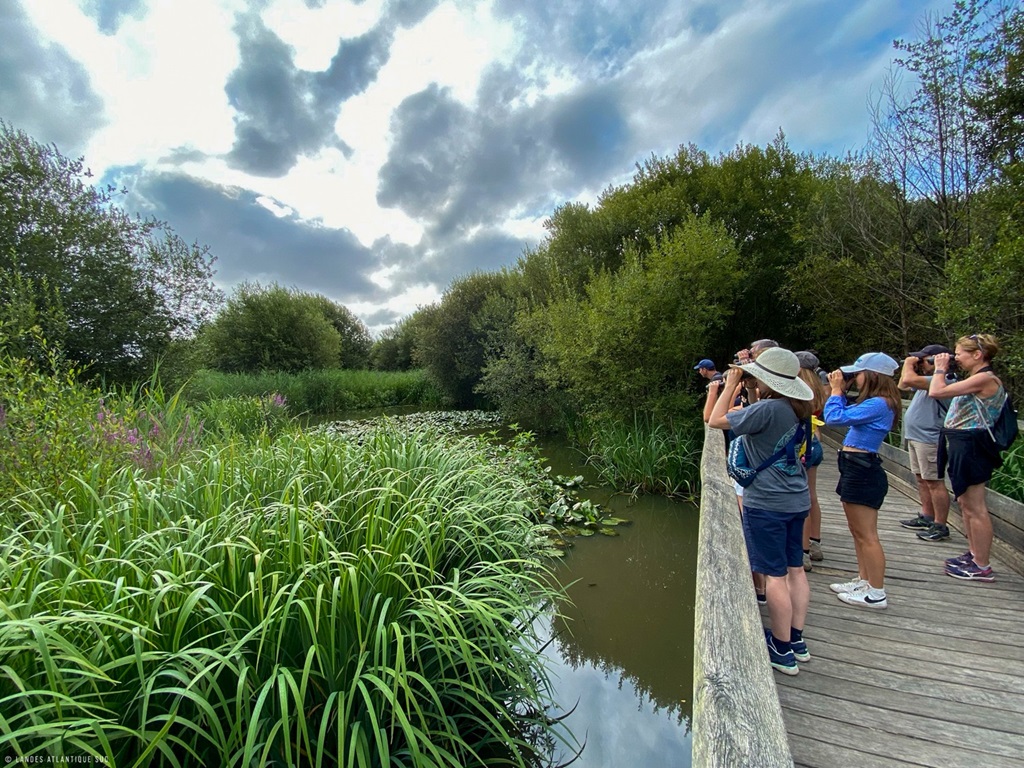Découverte du Marais d'Orx 1005 Route du Marais Labenne 2026-11-01