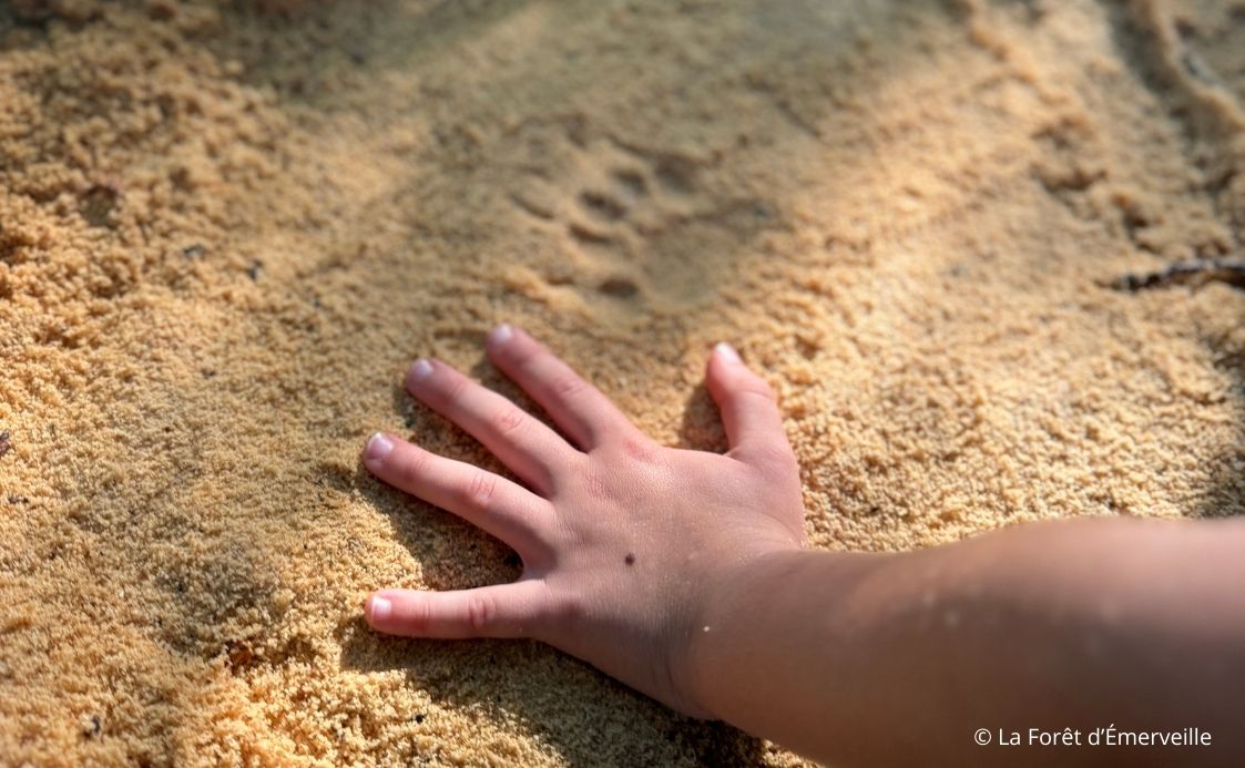 Découverte du pistage animalier  Milhac-de-Nontron 2026-08-26