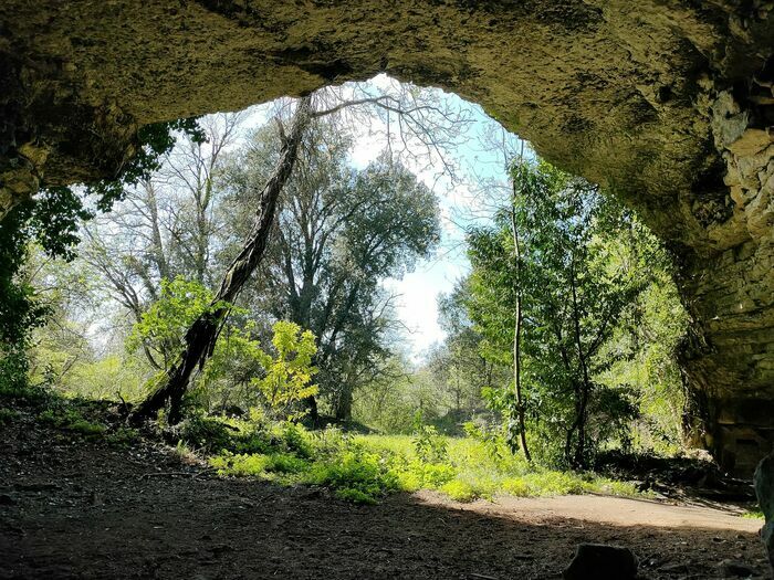 Découverte d'un jardin sauvage et des carrières du prieuré Jardins du Prieuré Saint-Vaize