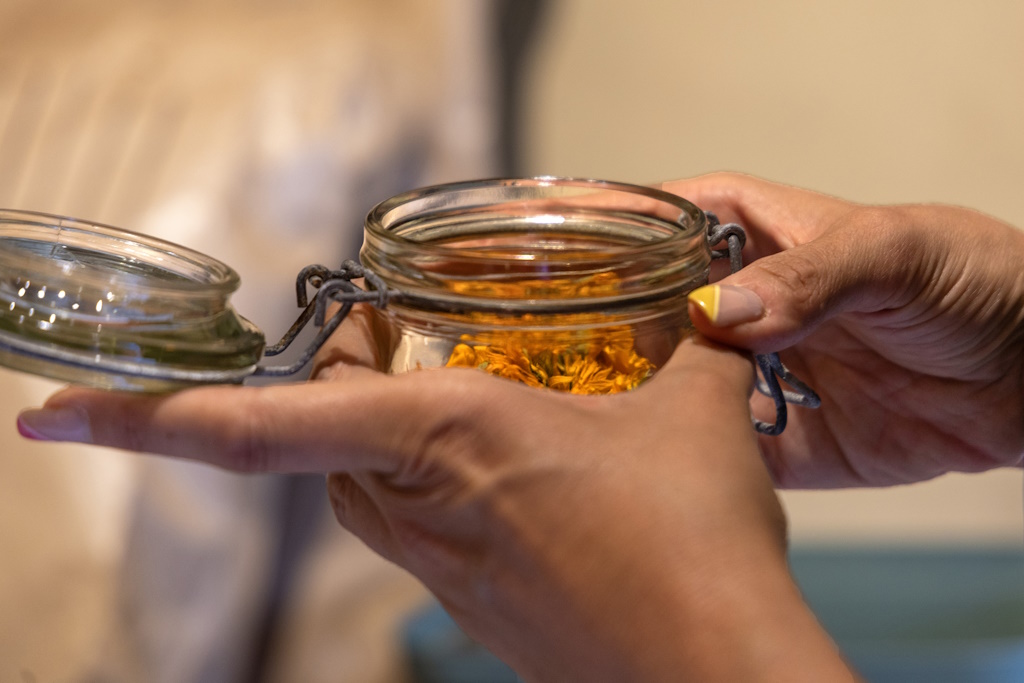 Découvrez les bienfaits des plantes sauvages Août Découvrez les bienfaits des plantes sauvages Août 81 Impasse des Jacinthes Saint-Laurent-les-Églises 2026-08-08