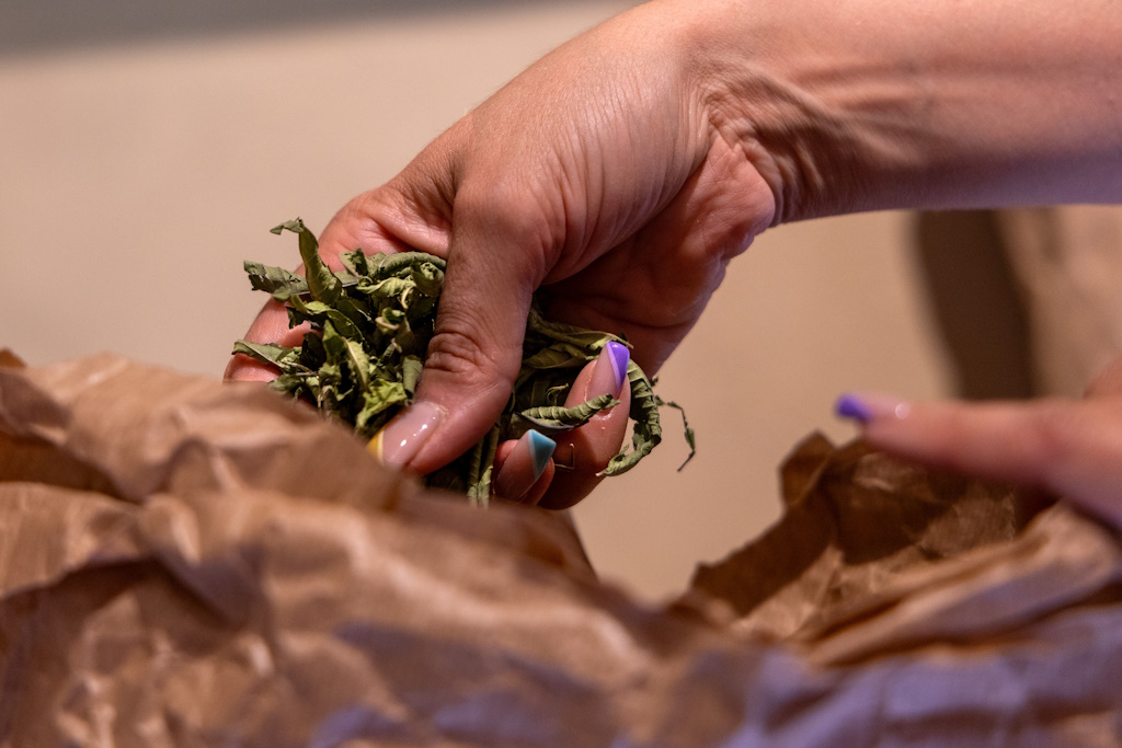 Découvrez les bienfaits des plantes sauvages Septembre Découvrez les bienfaits des plantes sauvages Septembre 81 Impasse des Jacinthes Saint-Laurent-les-Églises 2026-09-05