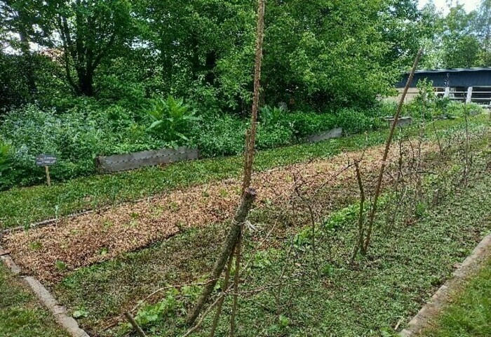 Démarrer un potager au naturel Dans le jardin d'un particulier Saint-Grégoire