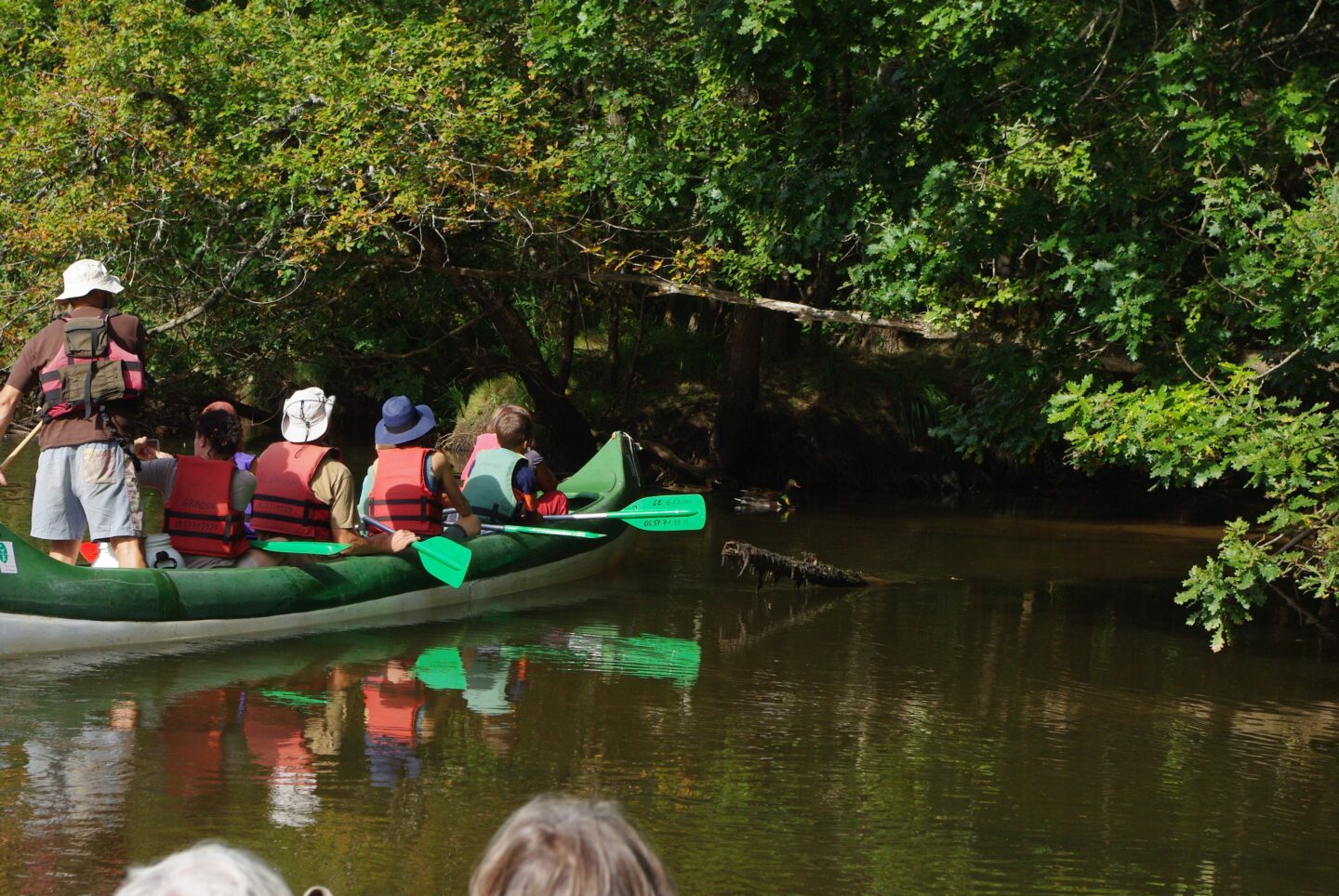 Descente de la Leyre en Canoë collectif entre Mios et Lamothe 1 allée Val de San Vicente Mios 2026-07-07
